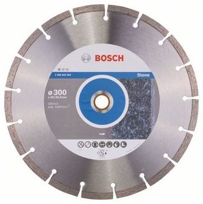 Снимка на Диамантен диск за рязане камък Standard for STONE 300 x 20/25,4 x 10 mm, 2608602602